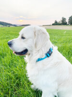 Fumiko® Halsband & Leine Kombi Sam´s Blue...