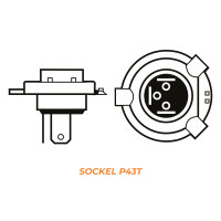 2 x H4 12V HB2 60/55 W P43t Glühlampe Glühbirne...